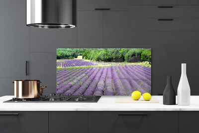 Szkło nad Blatem Kolorowa Łąka na Płótnie