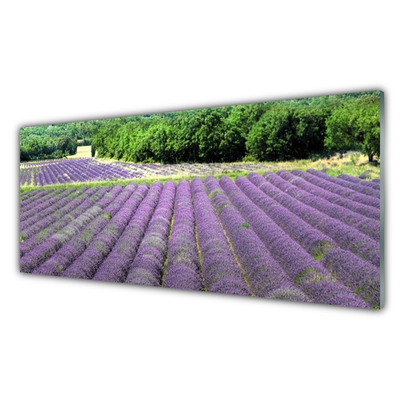 Szkło nad Blatem Kolorowa Łąka na Płótnie