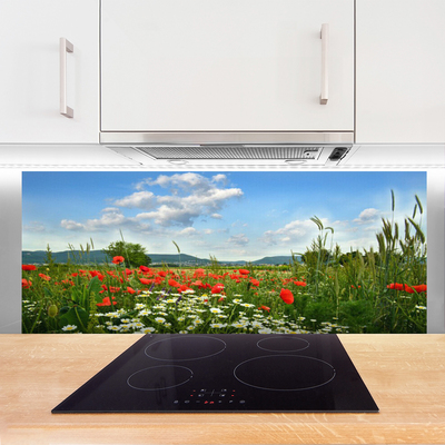 Panel Szklany Sielska Polana Kwiatowa