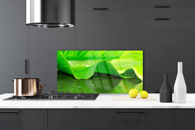 Panel Szklany Makro Struktura Liścia