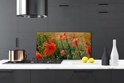 Panel Szklany Maki w Porannej Rosie