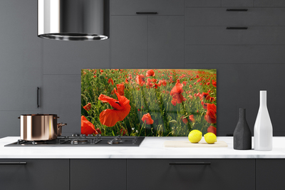 Panel Szklany Maki w Porannej Rosie