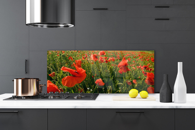 Panel Szklany Maki w Porannej Rosie