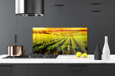 Szkło do Kuchni na Ścianę Złociste Pole o Poranku
