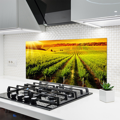 Szkło do Kuchni na Ścianę Złociste Pole o Poranku