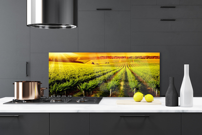 Szkło do Kuchni na Ścianę Złociste Pole o Poranku