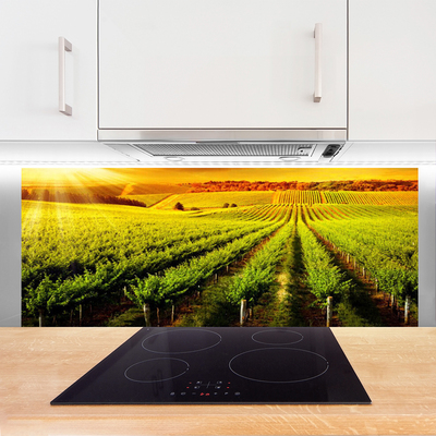 Szkło do Kuchni na Ścianę Złociste Pole o Poranku