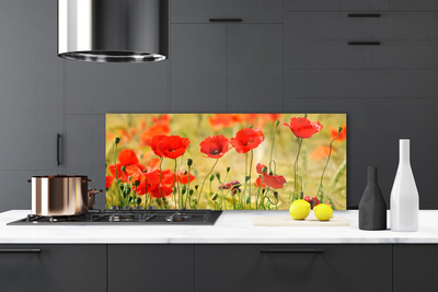 Szkło do Kuchni na Ścianę Polne Maki w Rozkwicie