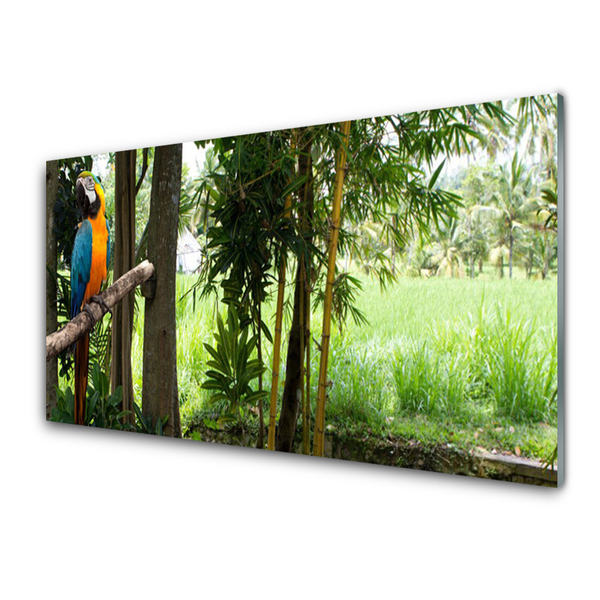 Panel Szklany Papuga Drzewa Natura