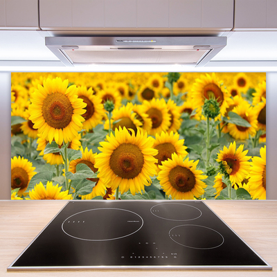 Panel Szklany Złociste Słoneczniki