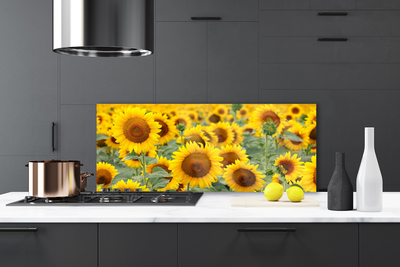 Panel Szklany Złociste Słoneczniki