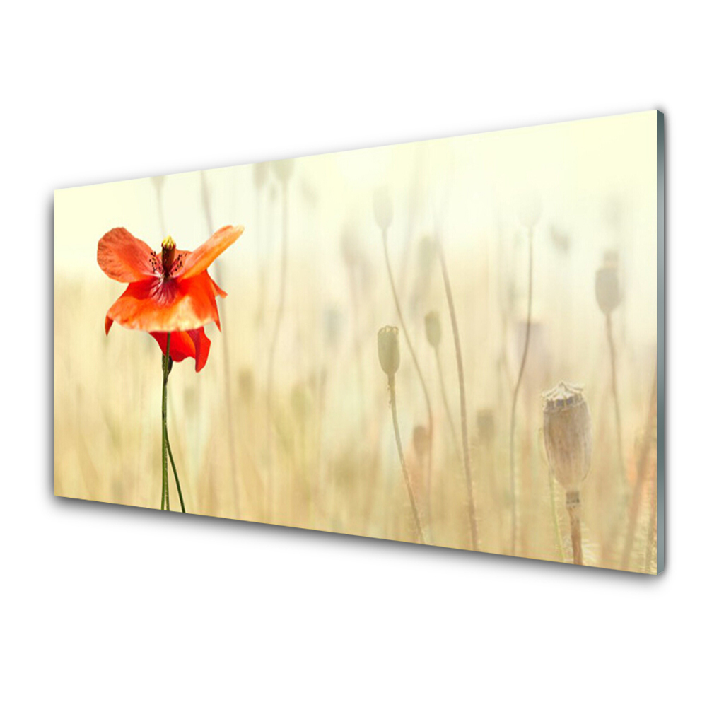 Panel Szklany Maki Roślina Natura
