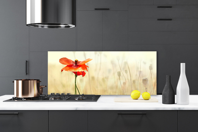 Panel Szklany Maki w Letnim Słońcu