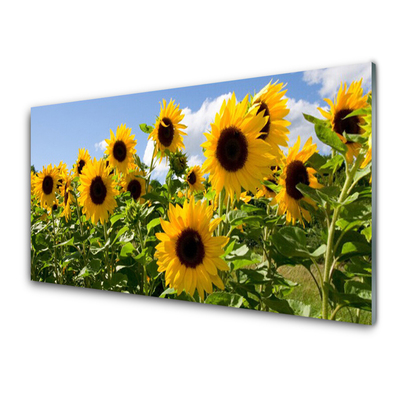 Panel Szklany Słonecznik Kwiat Roślina