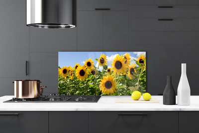 Panel Szklany Złoty Słonecznik w Słońcu