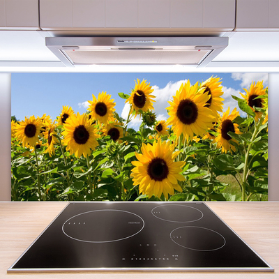 Panel Szklany Złoty Słonecznik w Słońcu