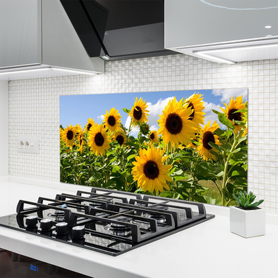 Panel Szklany Złoty Słonecznik w Słońcu