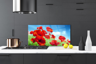 Panel Szklany Maki w Porannej Rosie