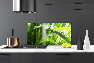 Panel nad blat kuchenny Perlista Rosa na Trawie