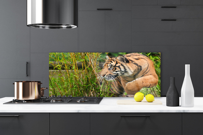 Panel nad blat kuchenny Majestatyczny Tygrys w Gęstwinie