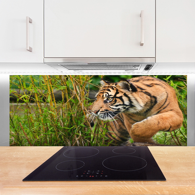 Panel nad blat kuchenny Majestatyczny Tygrys w Gęstwinie