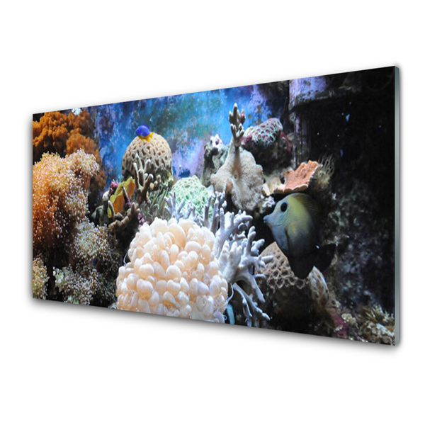 Panel Szklany Rafa Koralowa Przyroda