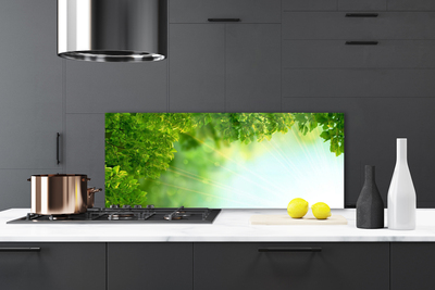 Panel Szklany Botaniczny Detal Liści