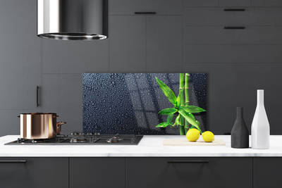 Panel Szklany do Kuchni Egzotyczny Pęd Bambusa