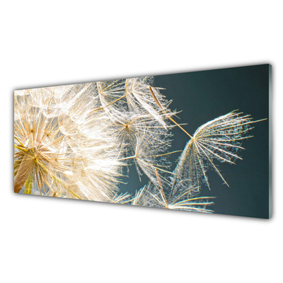 Panel Szklany do Kuchni Lekkość Mniszka Lekarskiego