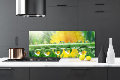 Panel nad blat kuchenny Poranny Detal Roślinny