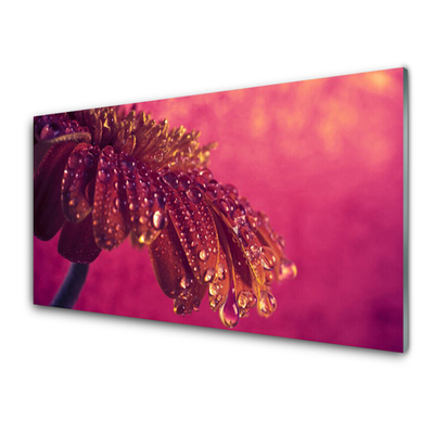 Panel Szklany Majestatyczne Drzewo w Polu