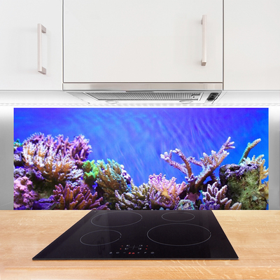 Dekor Szklany do Kuchni Podwodny Świat Rafy Koralowej