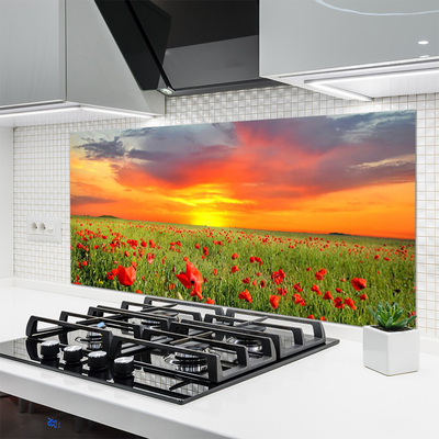 Panel Szklany Maki w Blasku Słońca