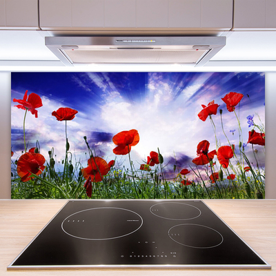 Szkło Ozdobne do Kuchni Czerwone Maki w Polu