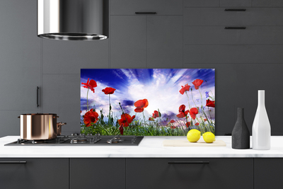 Szkło Ozdobne do Kuchni Czerwone Maki w Polu