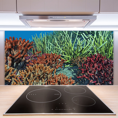 Panel Szklany Rafa Koralowa Przyroda