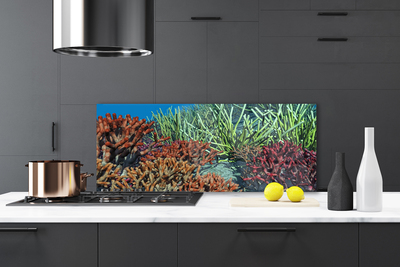 Panel Szklany Podwodne Życie Rafy