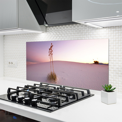 Panel Szklany Piaszczyste Wydmy Pustyni