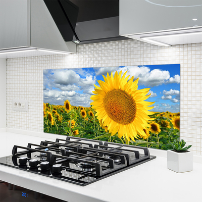 Panel Szklany do Kuchni Złoty Słonecznik pod Niebem