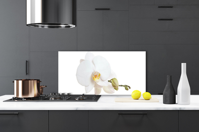 Panel Szklany do Kuchni Subtelny Akcent Botaniczny