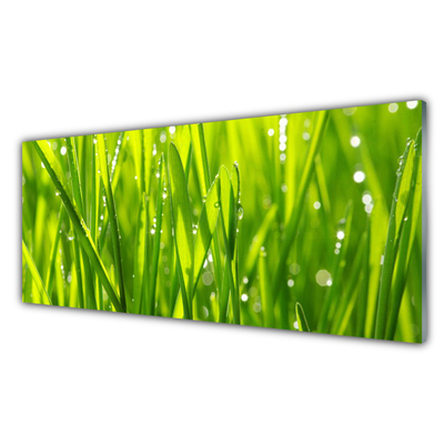 Panel Szklany do Kuchni Naturalny Urok Trawy