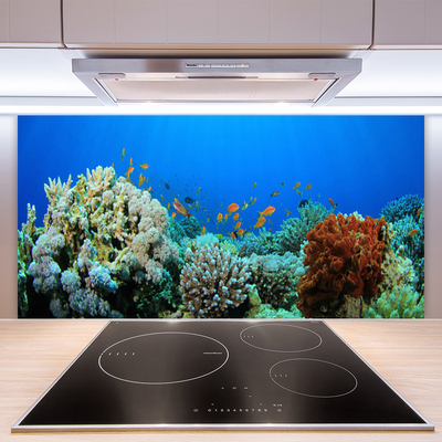 Panel Szklany do Kuchni Kolorowe Życie Oceanu