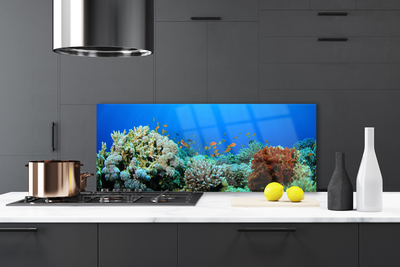 Panel Szklany do Kuchni Kolorowe Życie Oceanu