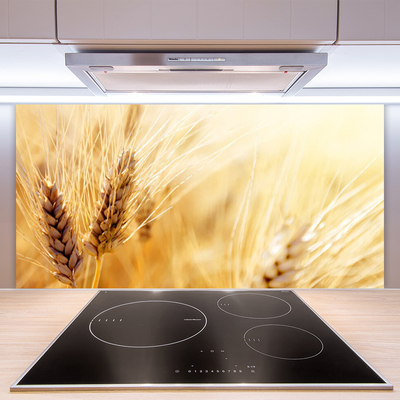 Panel Szklany Złociste Łany Pszenicy