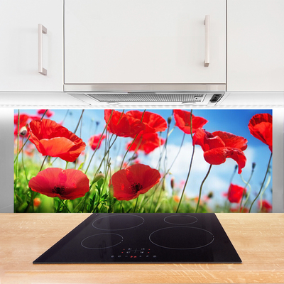 Panel Szklany Polne Maki W Rozkwicie