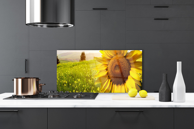 Dekor Szklany do Kuchni Złoty Słonecznik W Słońcu