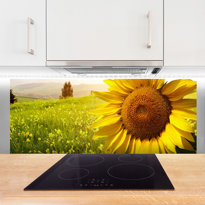 Dekor Szklany do Kuchni Złoty Słonecznik W Słońcu