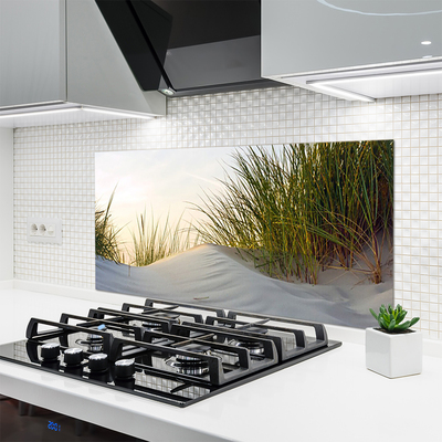 Panel Szklany Wydmy Piaszczyste I Trawy