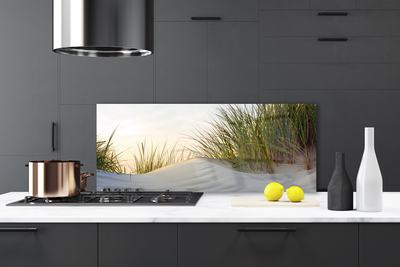 Panel Szklany Wydmy Piaszczyste I Trawy