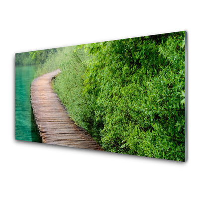 Panel Szklany Drewniany Mostek W Lesie
